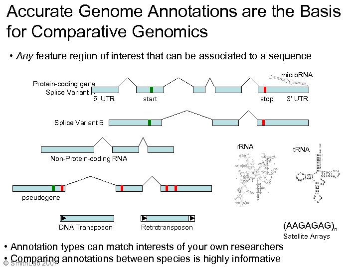Accurate Genome Annotations are the Basis for Comparative Genomics • Any feature region of