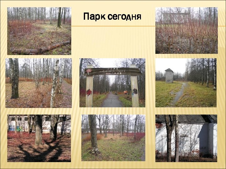 Парк сегодня 