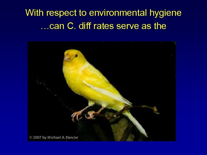 With respect to environmental hygiene …can C. diff rates serve as the 