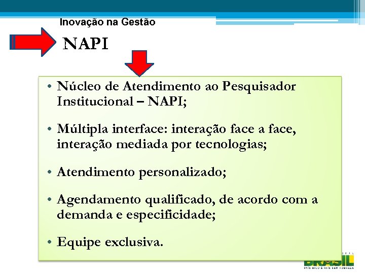 Inovação na Gestão NAPI • Núcleo de Atendimento ao Pesquisador Institucional – NAPI; •