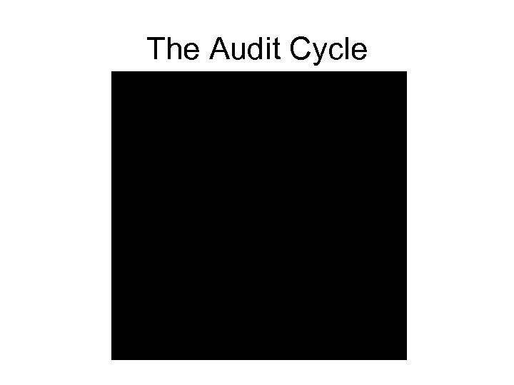 The Audit Cycle 