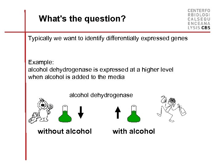 What's the question? Typically we want to identify differentially expressed genes Example: alcohol dehydrogenase