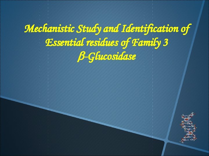 Mechanistic Study and Identification of Essential residues of Family 3 b-Glucosidase 