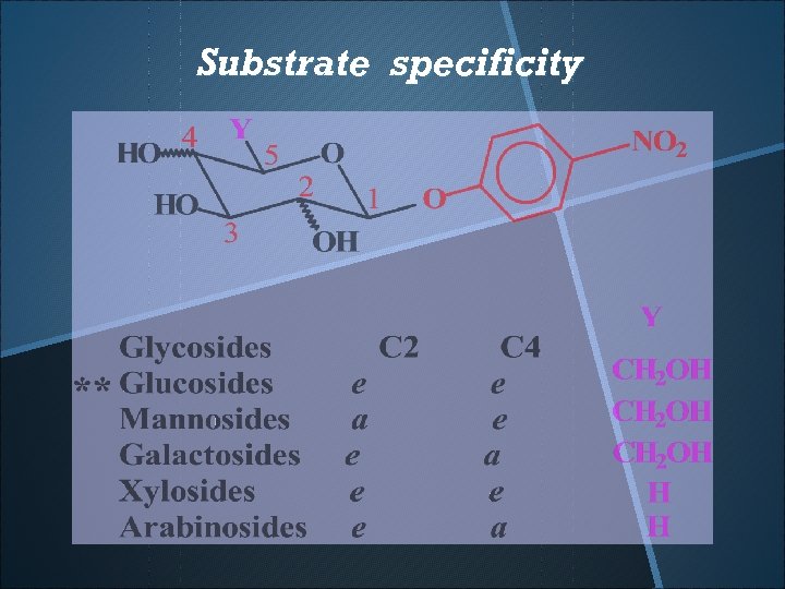 Substrate specificity 