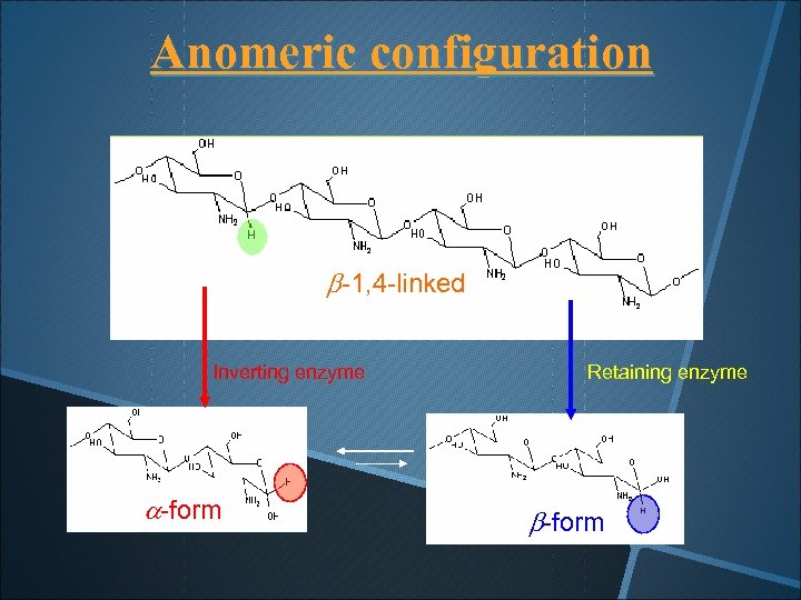 Anomeric configuration b-1, 4 -linked Inverting enzyme a-form Retaining enzyme b-form 