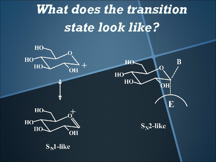 What does the transition state look like? 