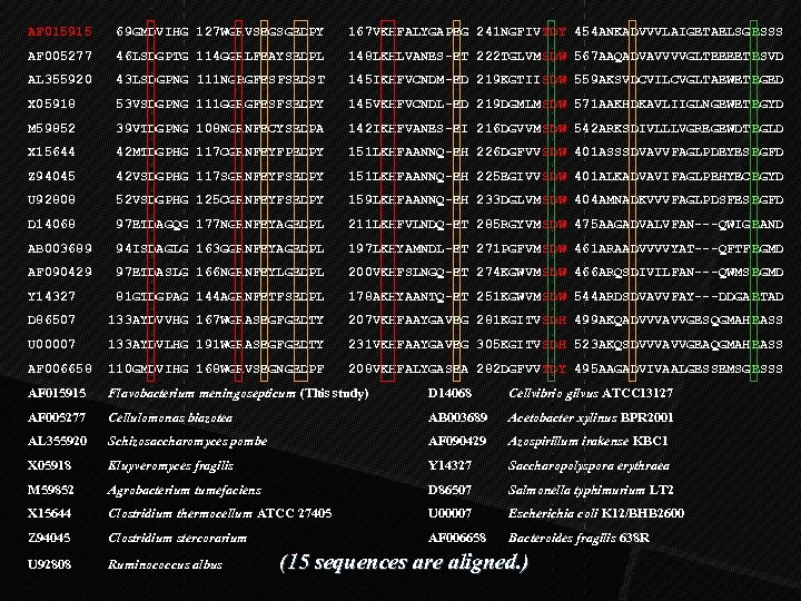 AF 015915 69 GMDVIHG 127 WGRVSEGSGEDPY 167 VKHFALYGAPEG 241 NGFIV TDY 454 ANKADVVVLAIGETAELSGESSS AF