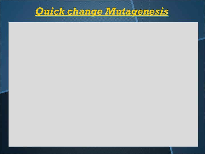 Quick change Mutagenesis 