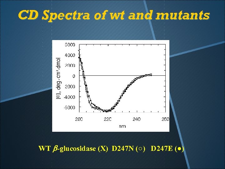 CD Spectra of wt and mutants WT b-glucosidase (X) D 247 N (○) D