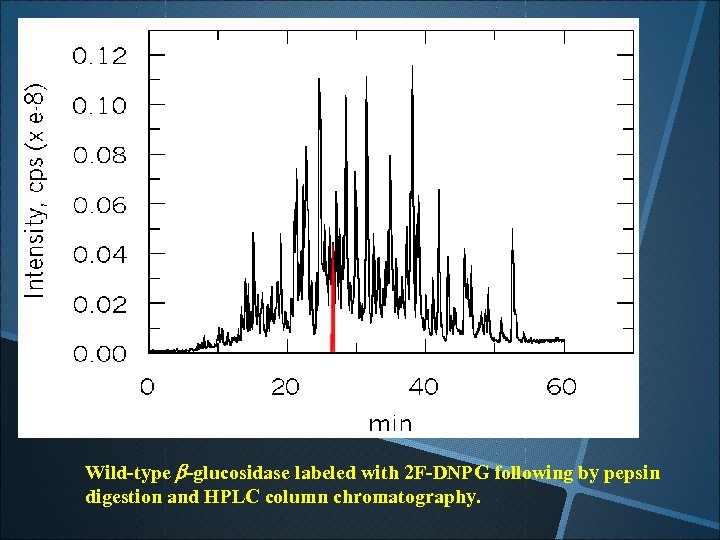 Wild-type b-glucosidase labeled with 2 F-DNPG following by pepsin digestion and HPLC column chromatography.