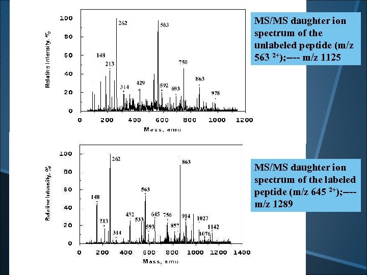 MS/MS daughter ion spectrum of the unlabeled peptide (m/z 563 2+); ---- m/z 1125