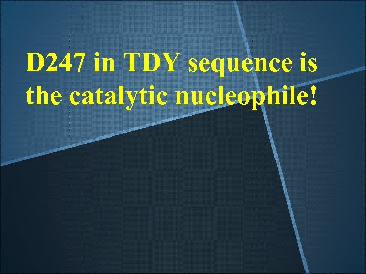 D 247 in TDY sequence is the catalytic nucleophile! 