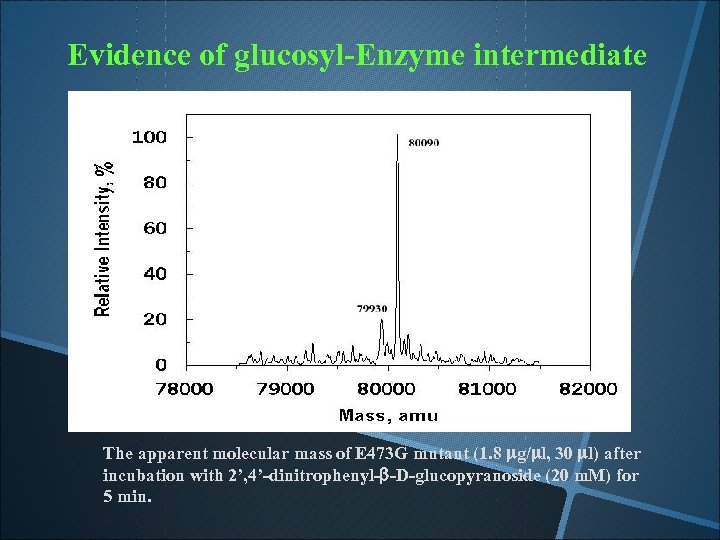 Evidence of glucosyl-Enzyme intermediate The apparent molecular mass of E 473 G mutant (1.