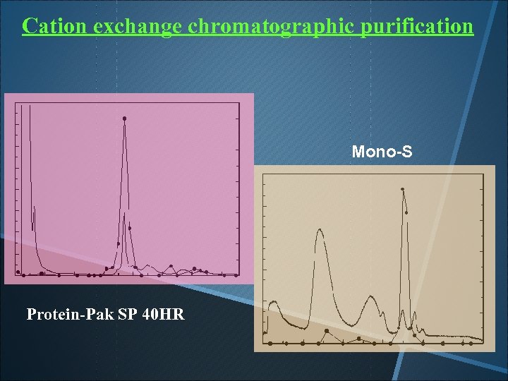 Cation exchange chromatographic purification Mono-S Protein-Pak SP 40 HR 