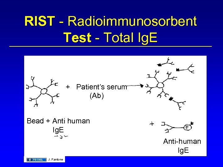 RIST - Radioimmunosorbent Test - Total Ig. E + Patient’s serum (Ab) Bead +