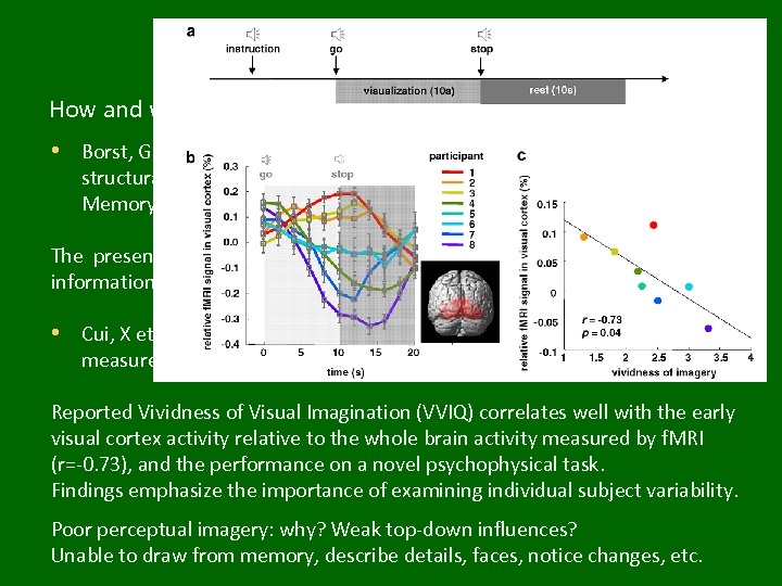 Imagery and brains How and where are mental images formed? • Borst, G. ,