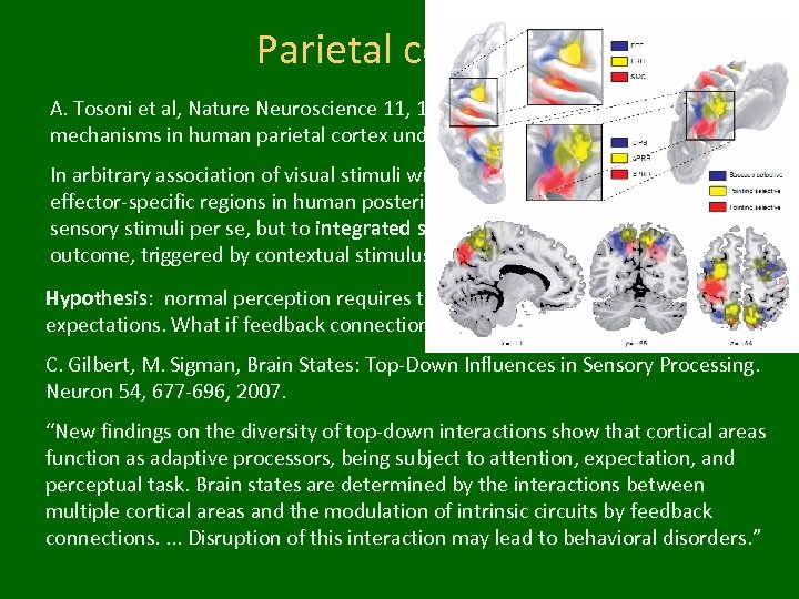 Parietal cortex A. Tosoni et al, Nature Neuroscience 11, 1446 - 1453 (2008). Sensory-motor
