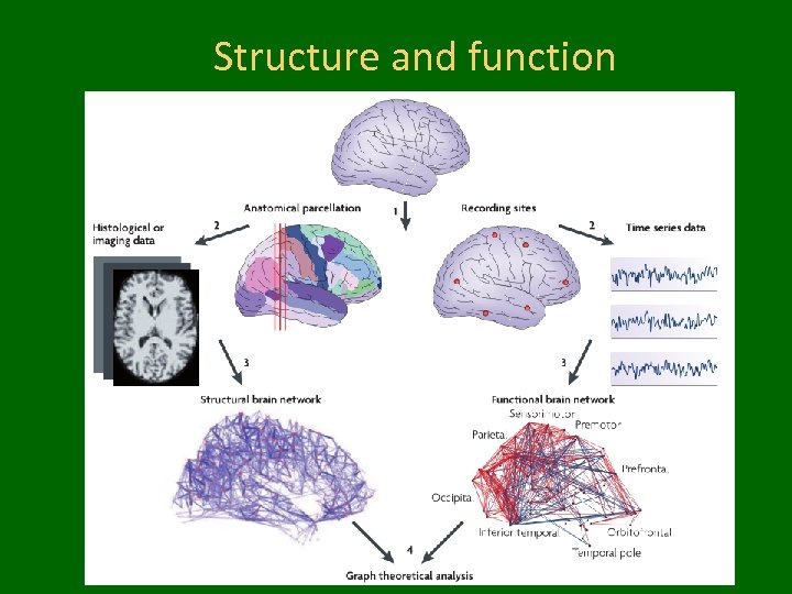 Structure and function 