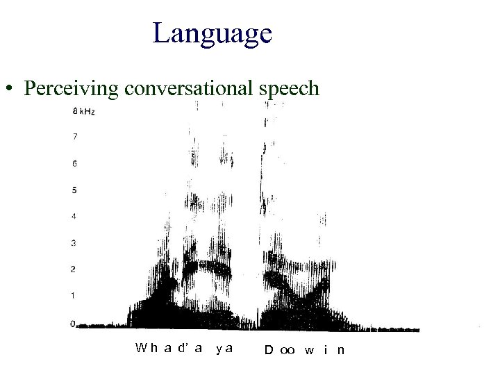 Language • Perceiving conversational speech W h a d’ a ya D oo w