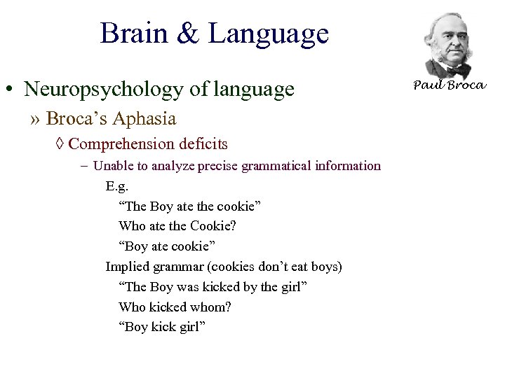Brain & Language • Neuropsychology of language » Broca’s Aphasia ◊ Comprehension deficits –