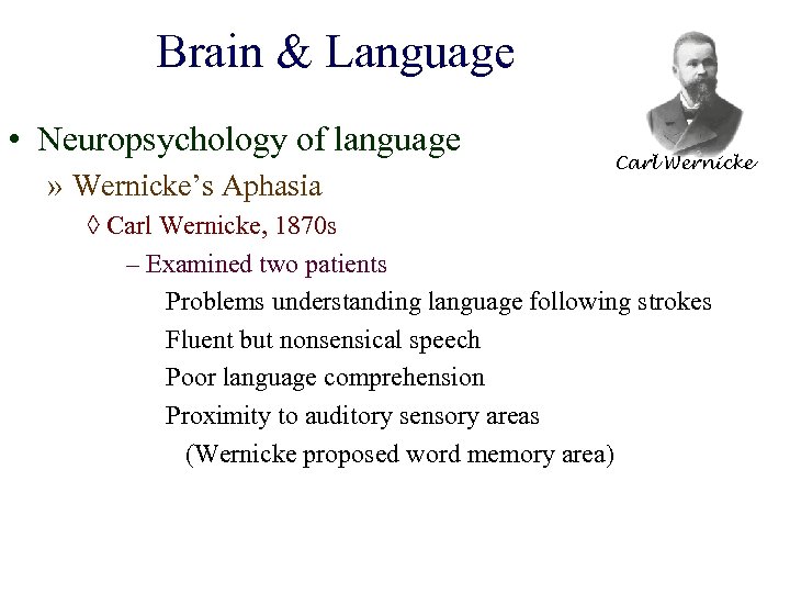 Brain & Language • Neuropsychology of language » Wernicke’s Aphasia Carl Wernicke ◊ Carl