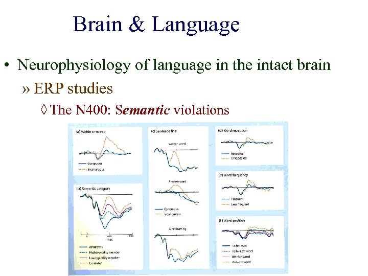 Brain & Language • Neurophysiology of language in the intact brain » ERP studies