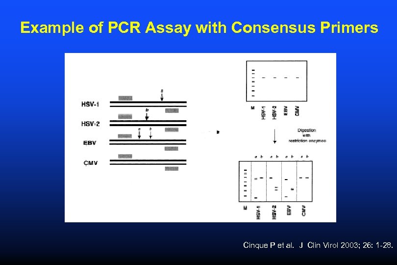 Example of PCR Assay with Consensus Primers Cinque P et al. J Clin Virol