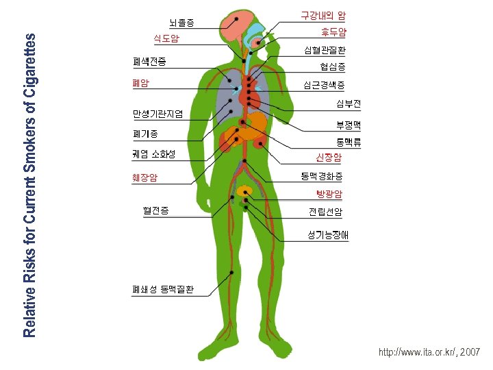 http: //www. ita. or. kr/, 2007 Relative Risks for Current Smokers of Cigarettes 
