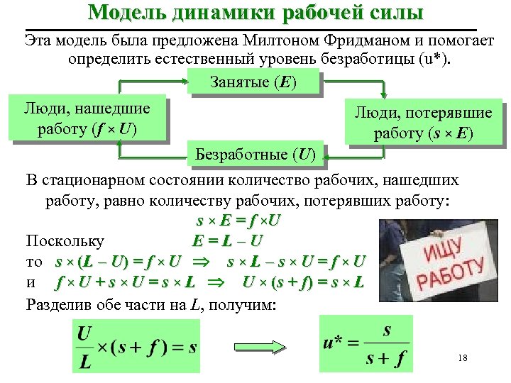 Модель динамики рабочей силы Эта модель была предложена Милтоном Фридманом и помогает определить естественный