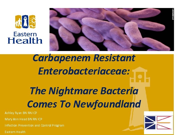 Carbapenem Resistant Enterobacteriaceae: The Nightmare Bacteria Comes To Newfoundland Ashley Ryan BN RN ICP