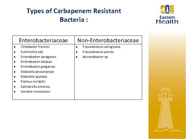 Types of Carbapenem Resistant Bacteria : Enterobacteriaceae Cittobacter freuindi Escherichia coli Enterobacter aerogenes Enterobacter