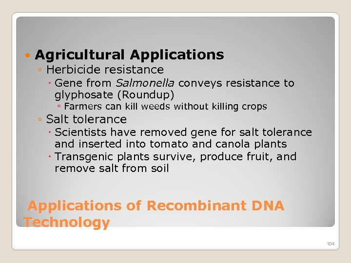  Agricultural Applications ◦ Herbicide resistance Gene from Salmonella conveys resistance to glyphosate (Roundup)