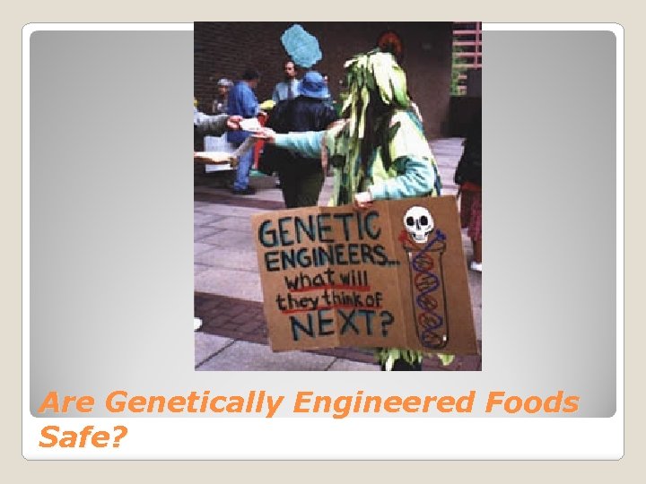 Are Genetically Engineered Foods Safe? 