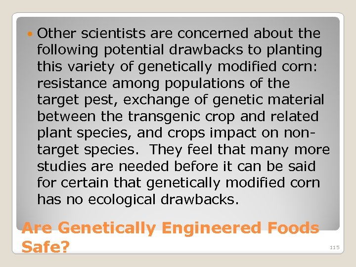  Other scientists are concerned about the following potential drawbacks to planting this variety
