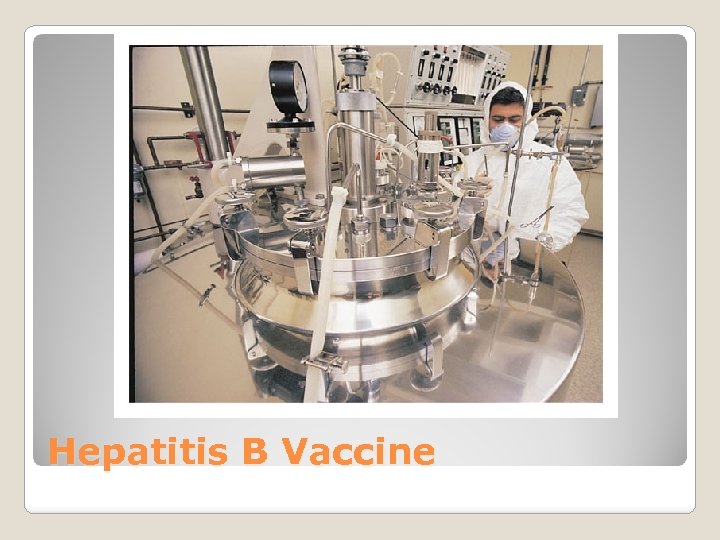 Hepatitis B Vaccine 