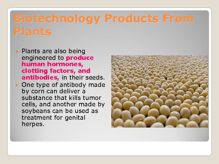 Biotechnology Products From Plants are also being engineered to produce human hormones, clotting factors,