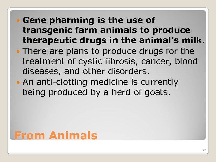 Gene pharming is the use of transgenic farm animals to produce therapeutic drugs in