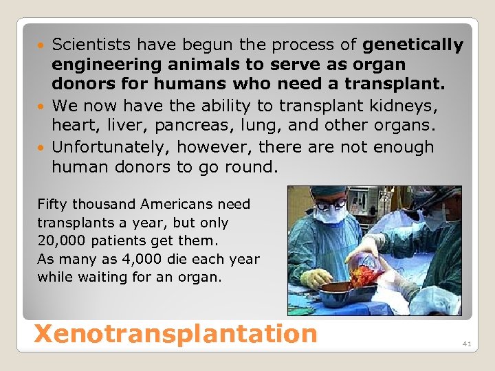 Scientists have begun the process of genetically engineering animals to serve as organ donors