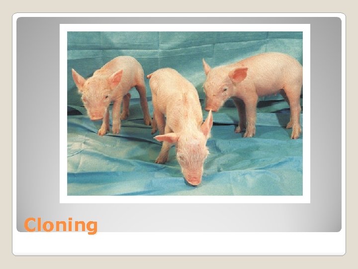 Cloning 