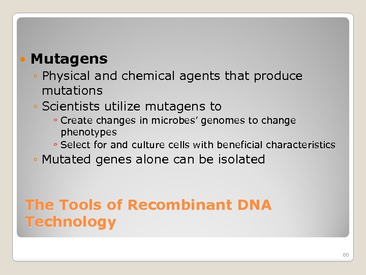  Mutagens ◦ Physical and chemical agents that produce mutations ◦ Scientists utilize mutagens