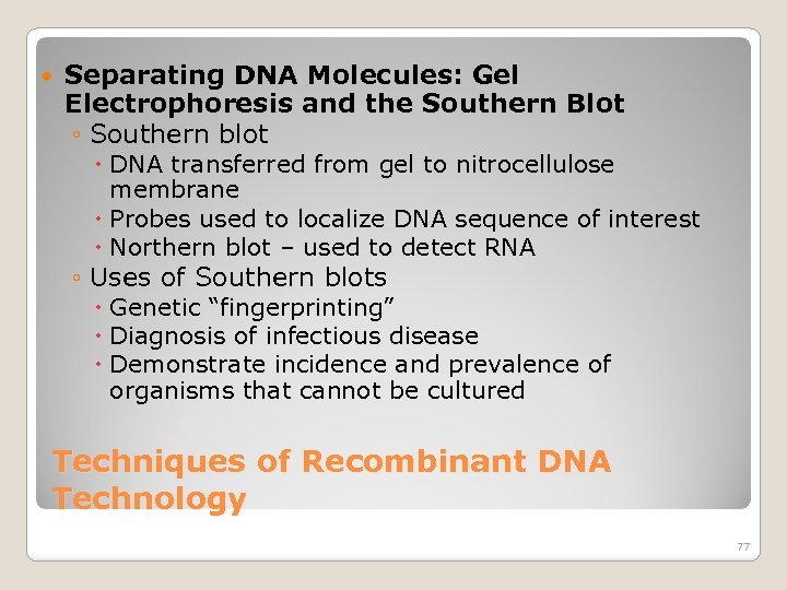  Separating DNA Molecules: Gel Electrophoresis and the Southern Blot ◦ Southern blot DNA