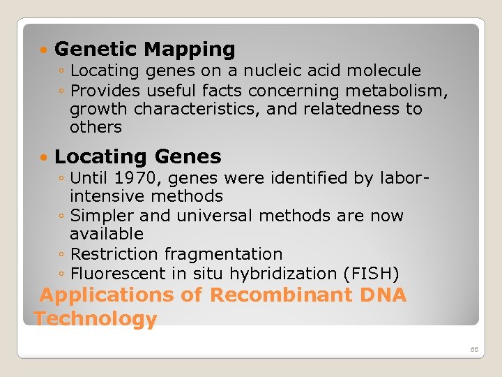  Genetic Mapping Locating Genes ◦ Locating genes on a nucleic acid molecule ◦