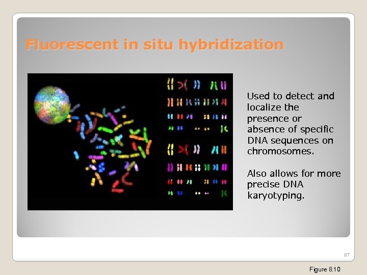 Fluorescent in situ hybridization Used to detect and localize the presence or absence of