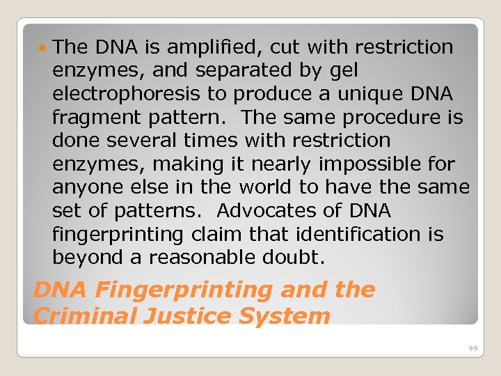  The DNA is amplified, cut with restriction enzymes, and separated by gel electrophoresis