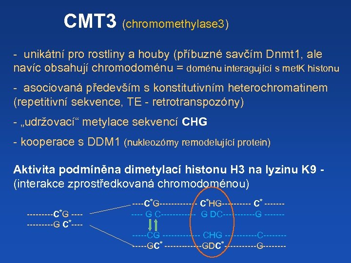 CMT 3 (chromomethylase 3) - unikátní pro rostliny a houby (příbuzné savčím Dnmt 1,
