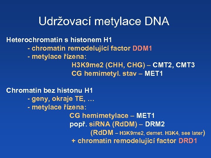 Udržovací metylace DNA Heterochromatin s histonem H 1 - chromatin remodelující factor DDM 1