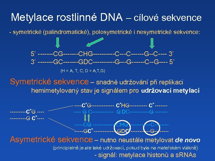 Metylace rostlinné DNA – cílové sekvence - symetrické (palindromatické), polosymetrické i nesymetrické sekvence: 5’