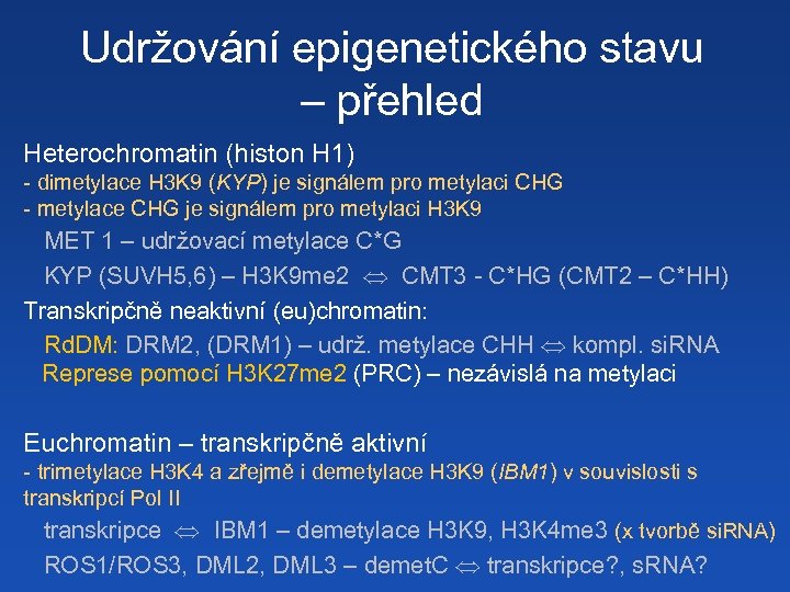 Udržování epigenetického stavu – přehled Heterochromatin (histon H 1) - dimetylace H 3 K