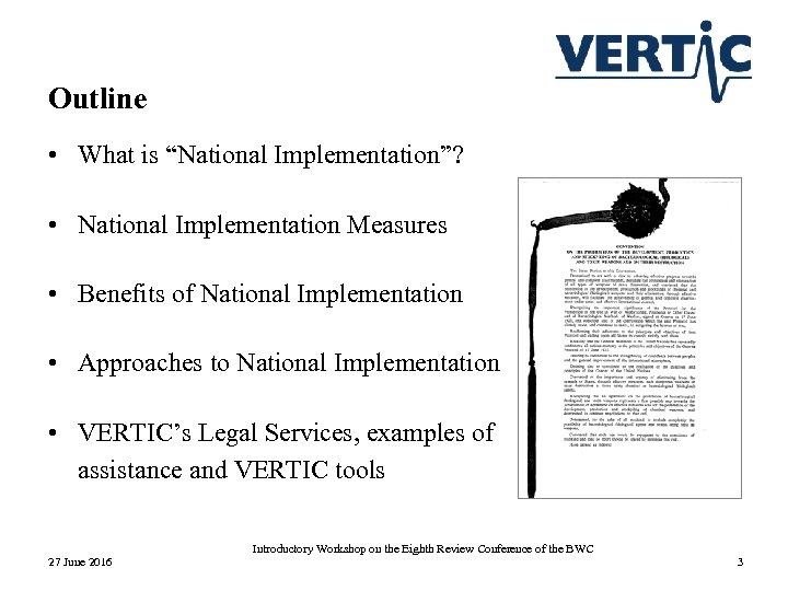 Outline • What is “National Implementation”? • National Implementation Measures • Benefits of National