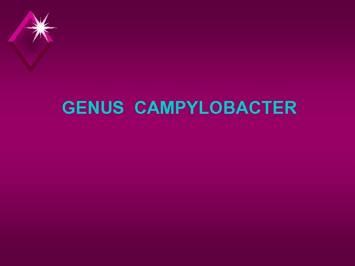 GENUS CAMPYLOBACTER 